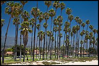 Beachfront and tall palm trees. Santa Barbara, California, USA ( color)