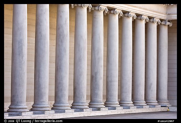 Row of columns, Legion of Honor, early morning, Lincoln Park. San Francisco, California, USA