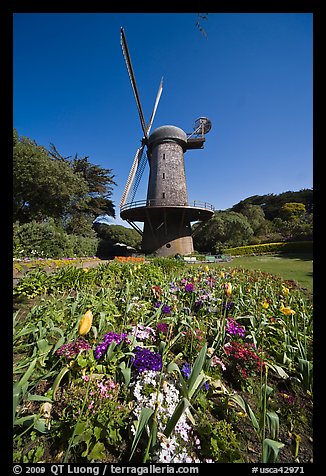 Spring flowers and old windmill, Golden Gate Park. San Francisco, California, USA (color)