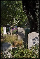 Headstones in the garden of Mission San Francisco de Asis. San Francisco, California, USA (color)