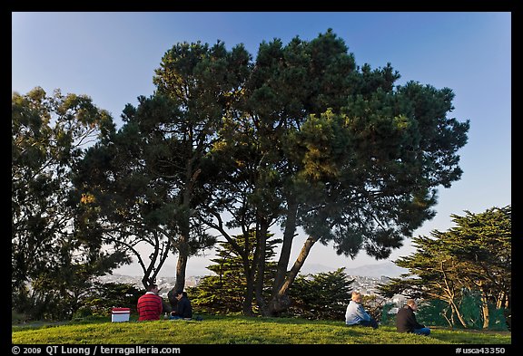 Buena Vista Park. San Francisco, California, USA