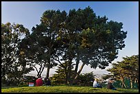 Buena Vista Park. San Francisco, California, USA ( color)