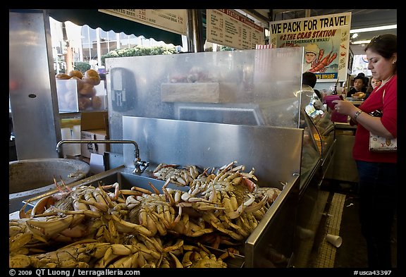 Crabs at outdoor food vending booths, Fishermans wharf. San Francisco, California, USA