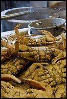 Close-up of crabs, Fishermans wharf. San Francisco, California, USA ( color)