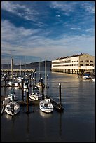 Marina and Fort Mason center. San Francisco, California, USA (color)