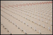Sea of white and red crosses on Santa Monica beach. Santa Monica, Los Angeles, California, USA ( color)