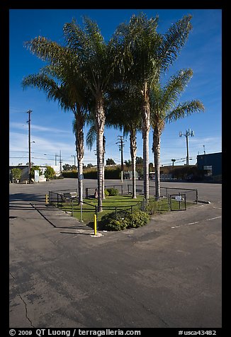 Tiny fenced park, Bergamot Station arts center. Santa Monica, Los Angeles, California, USA (color)
