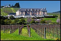 Vineyard and chateau style winery in spring. Napa Valley, California, USA (color)