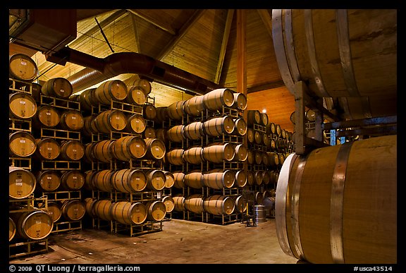 Wine barrels in aging room. Napa Valley, California, USA