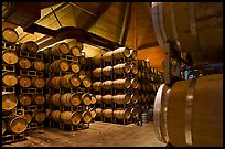 Wine barrels in aging room. Napa Valley, California, USA