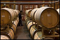 Winemaker checking barrels of wine being aged. Napa Valley, California, USA ( color)