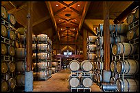 Large room filled with barrels of wine. Napa Valley, California, USA
