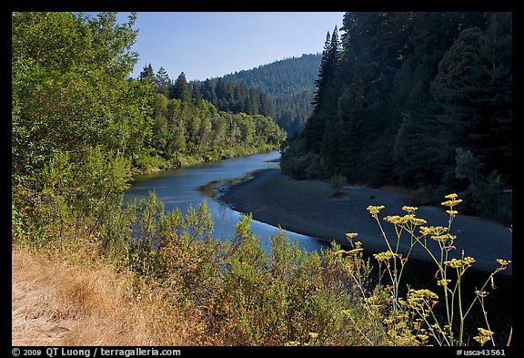Riverbend of the Eel in redwood forest. California, USA