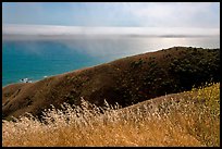 Summer grasses, hill, and ocean shimmer. Sonoma Coast, California, USA ( color)