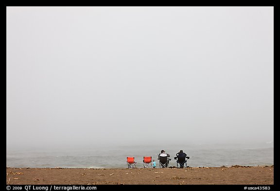 Sitting in front of foggy ocean, Manchester State Park. California, USA