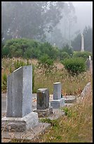 Foggy cemetery, Manchester. California, USA (color)