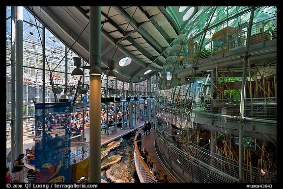 Piazza and glass dome enclosing rain forest , California Academy of Sciences. San Francisco, California, USA (color)