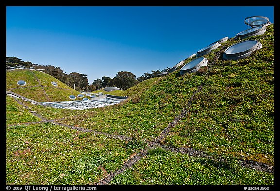 Living roof, California Academy of Sciences. San Francisco, California, USA (color)