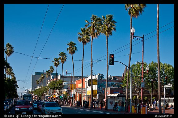 Palm-lined section of Mission street, Mission District. San Francisco, California, USA (color)
