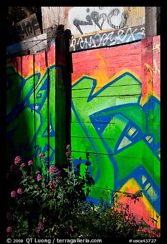Flowers and painted wall, Mission District. San Francisco, California, USA