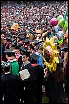 Graduating students celebrating commencement. Stanford University, California, USA ( color)