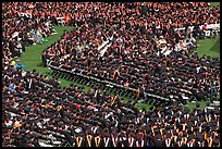 Large gathering of students in academic dress at graduation ceremony. Stanford University, California, USA ( color)