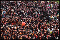 Mass of graduates in academic robes. Stanford University, California, USA ( color)