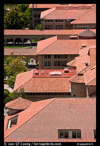 Red tiles rooftops seen from above. Stanford University, California, USA (color)