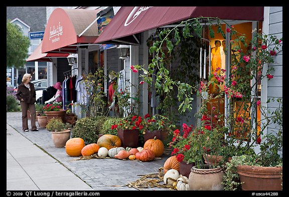 Sidewalk in the fall. Half Moon Bay, California, USA (color)