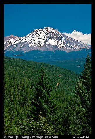 Mount Shasta seen from Castle Crags State Park. California, USA