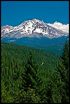 Mount Shasta seen from Castle Crags State Park. California, USA ( color)