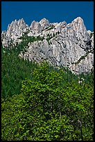 Limestone cliffs, Castle Crags State Park. California, USA ( color)