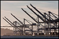 Giant cranes dwarf yacht Port of Oakland. Oakland, California, USA