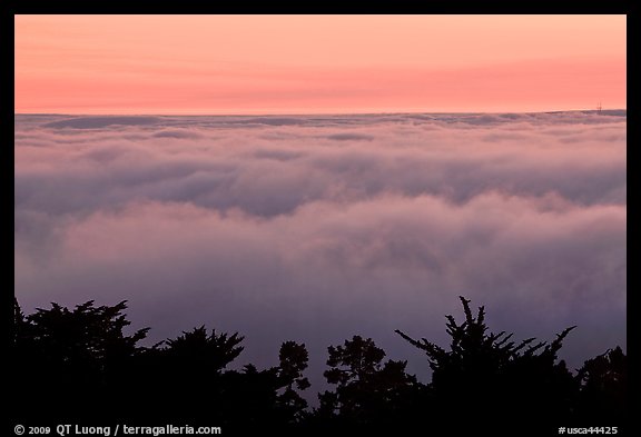 Sea of clouds at sunset. Oakland, California, USA (color)