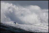 Surfer in Mavericks break. Half Moon Bay, California, USA ( color)
