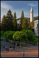 Campus of University of Berkeley with Campanile. Berkeley, California, USA (color)