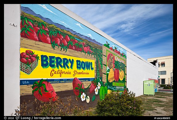 Wall with mural celebrating berry growing. Watsonville, California, USA