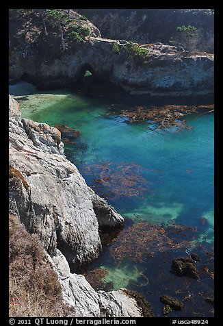 Emerald waters and kelp, China Cove. Point Lobos State Preserve, California, USA