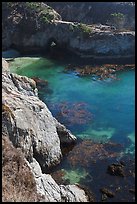 Emerald waters and kelp, China Cove. Point Lobos State Preserve, California, USA (color)