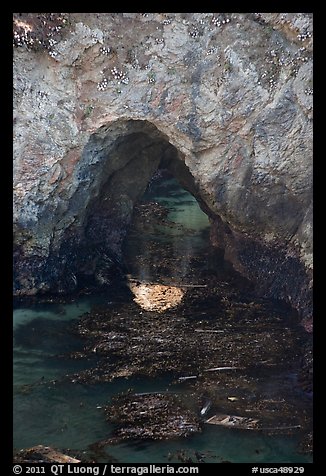 Sea arch and reflection. Point Lobos State Preserve, California, USA