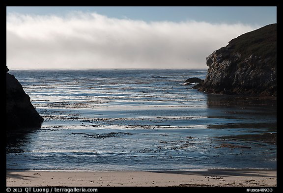 Marine layer offshore China Cove. Point Lobos State Preserve, California, USA