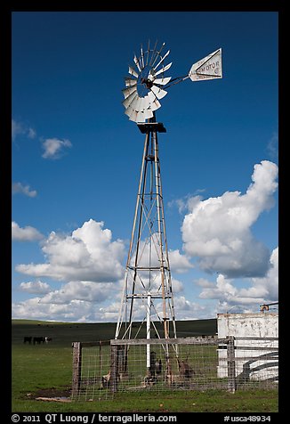 Windmill in pasture. California, USA (color)