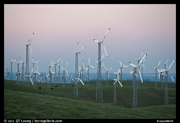 Altamont wind farm at dusk. California, USA
