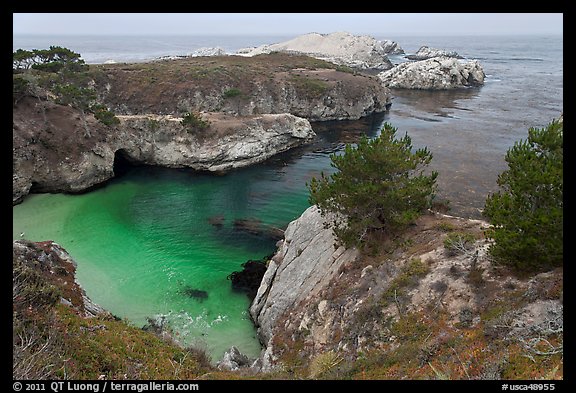 China Cove on cloudy day. Point Lobos State Preserve, California, USA