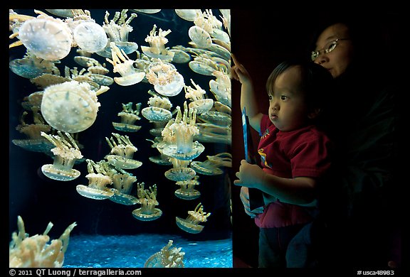 Mother and infant look at Jelly exhibit, Monterey Bay Aquarium. Monterey, California, USA