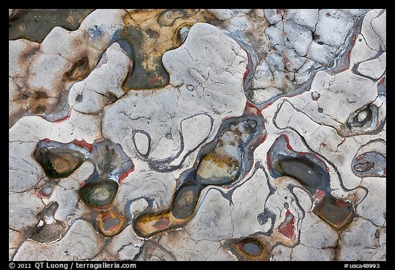 Eroded patterns in shale rocks. Point Lobos State Preserve, California, USA