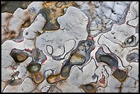 Eroded patterns in shale rocks. Point Lobos State Preserve, California, USA