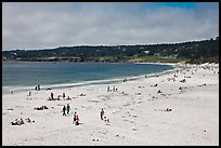 Carmel Beach in summer. Carmel-by-the-Sea, California, USA ( color)