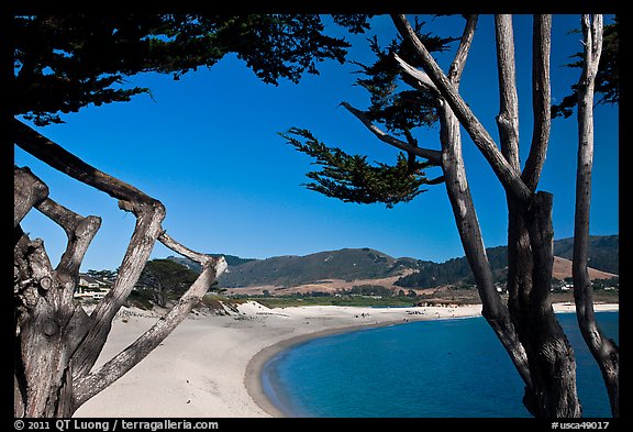 Carmel River Beach framed by Cypress trees. Carmel-by-the-Sea, California, USA (color)