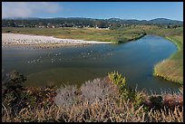 Marsh at the mouth of Carmel River. Carmel-by-the-Sea, California, USA ( color)